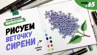 Как нарисовать сирень маркерами? / Видео-урок по рисованию маркерами для новичков #65