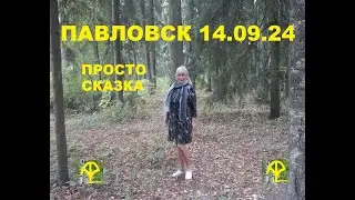 Павловский парк 14 09 24