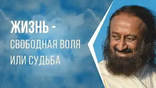 Жизнь — это свободная воля или судьба