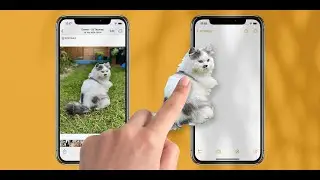 How to lift a subject from the photo background on iPhone