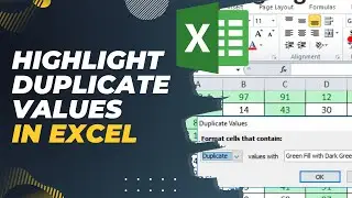 Highlight Duplicate Values in Excel in Same Column in a Different Colour