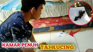 PRANK EEK KUCING DI KAMAR EDO!!