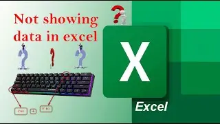 Not showing data in excel