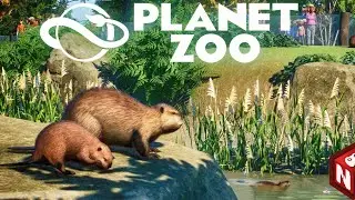 🔴Planet Zoo - Северная Америка! #24