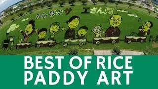 Best of rice paddy art & STUNNING fields in Aomori, Japan