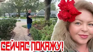 Американский мини огород! Зачем нам столько помидор ТО???  