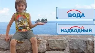 Урок. Корень слова.  Русский язык 2 класс. 