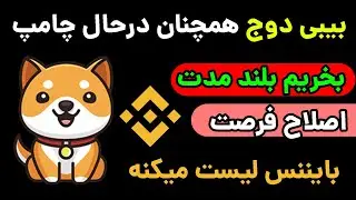 بیبی دوج همچنان در حال جامپ و پامپ کردن هستش !! بایننس بیبی دوج رو لیست میکنه آیا ؟ بخریم ؟