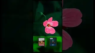 Filter in Capcut #shorts #shortvideo #capcut