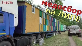 По всем пасекам леса / Один день из жизни пчеловода / 1 часть.