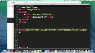 HTML Tutorial   How to Make an Image Clickable   Link on Image   Easy   Beginner