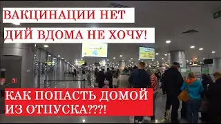 Правила въезда в Украину Аэропорт Борисполь Как попасть домой без вакцинации и приложения Дий вдома?