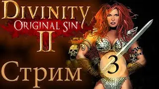 СТРИМ🔴DIVINITY ORIGINAL SIN 2 [ЧЕРНЫЙ КОТ ВСЕМУ ВИНОЙ]*3 русский язык прохождение обзор