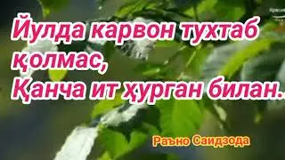 Йулингиз бехатар бўлсин