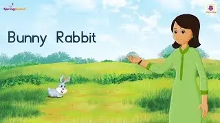 Bunny Rabbit | Nursery Rhymes for Children | Kids Songs by Periwinkle