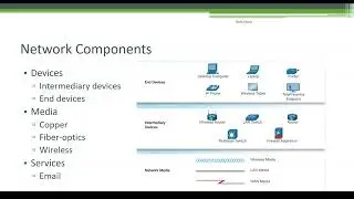 Network components | Cisco CCNA 200-301
