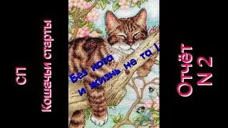 Вышивка крестиком/Dimensions / Napping kitten 65090/ отчёт N2 /СП 
