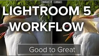 Lightroom Workflow - Good to Great