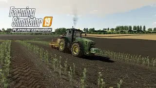 Farming Simulator 19 | Стрим #36 Карта Cybuchowo