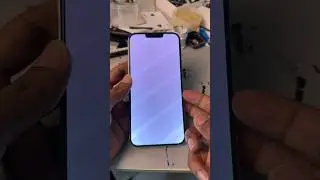 Fix White Color LCD iPhone 13 Pro Max 1 minutes 