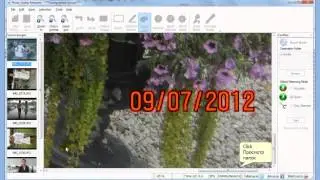 How To Remove Date From Photo