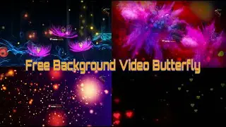 👌Free😮Background Video Download Lotus Flower Blooming Video With Butterfly KO