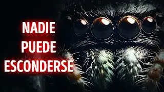 Los ojos más aterradores de la naturaleza ven en 360 grados
