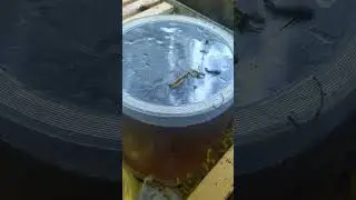наше 