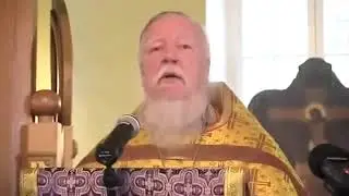 Слышь, псина Куда ты идешь