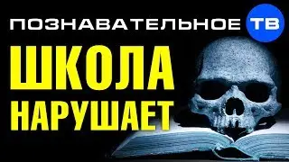 Школа НАРУШАЕТ ЗАКОН. Вас УМЫШЛЕННО делают больными и сутулыми (Познавательное ТВ, Артём Войтенков)