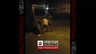 Голый и очень неадекватный мужчина кричал на ночных улицах Петербурга