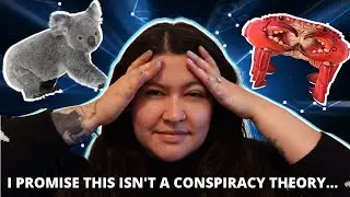 What Koalas & This Cursed Crab Chair Have to Do With Mental Illness |Therapist Talks Neuroplasticity
