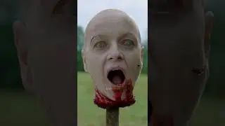 Beta Finds Alpha | TWD 