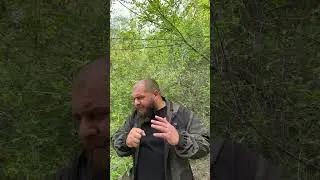 Эффективная самооборона от животных
