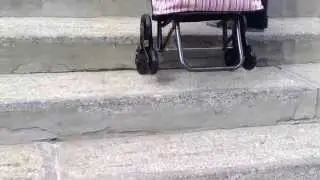 Сумка тележка хозяйственная Рыжий кот