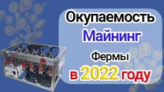 Доходность майнинг фермы в 2022 году AMD и Nvidia. Стоит ли брать LHR видеокарты?