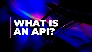 What is an API? (Application Programming Interface)