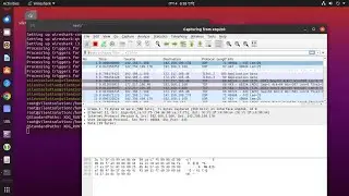 How to Install and Use Wireshark on Ubuntu