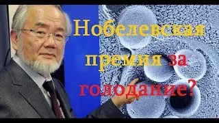 Нобелевская премия за голодание. Ёсинори Осуми
