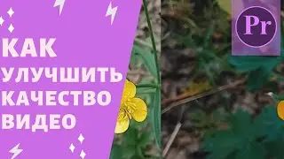 Adobe Premiere Pro cc 2018 - Как улучшить качество видео