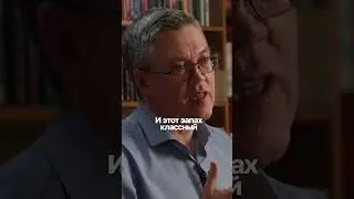 Как женщины выбирают партнера