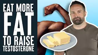 Should You Eat More Fat To Raise Your Testosterone? | Educational Video | Biolayne