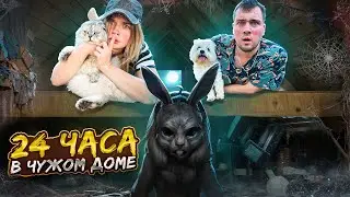 24 ЧАСА В ЧУЖОМ ДОМЕ С КОТАМИ | TINY BUNNY ВЕРНУЛСЯ