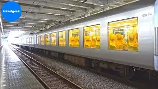 Riding Japan's Weird-looking Train from Tokyo to Chichibu