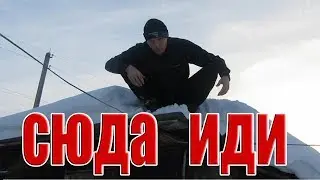 Что такое быдло. Как не быть быдлом. Дикобраз