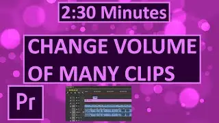 How to increase VOLUME in premiere pro of MANY clips at once