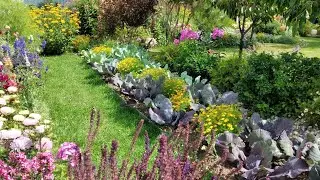 Необычные Совмещённые Посадки Цветов☘ и Овощей🍅 на Клумбах и Огороде 