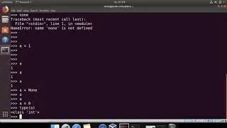 Automation with Python - The None Data Type (8)