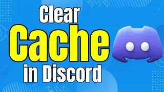 How to Clear Your Discord Cache to Free up Wasted Space
