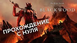 💎 Путь новичка в ТЕСО 💎 The Elder Scrolls Online💎[3]